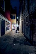 VENICE21 (29)